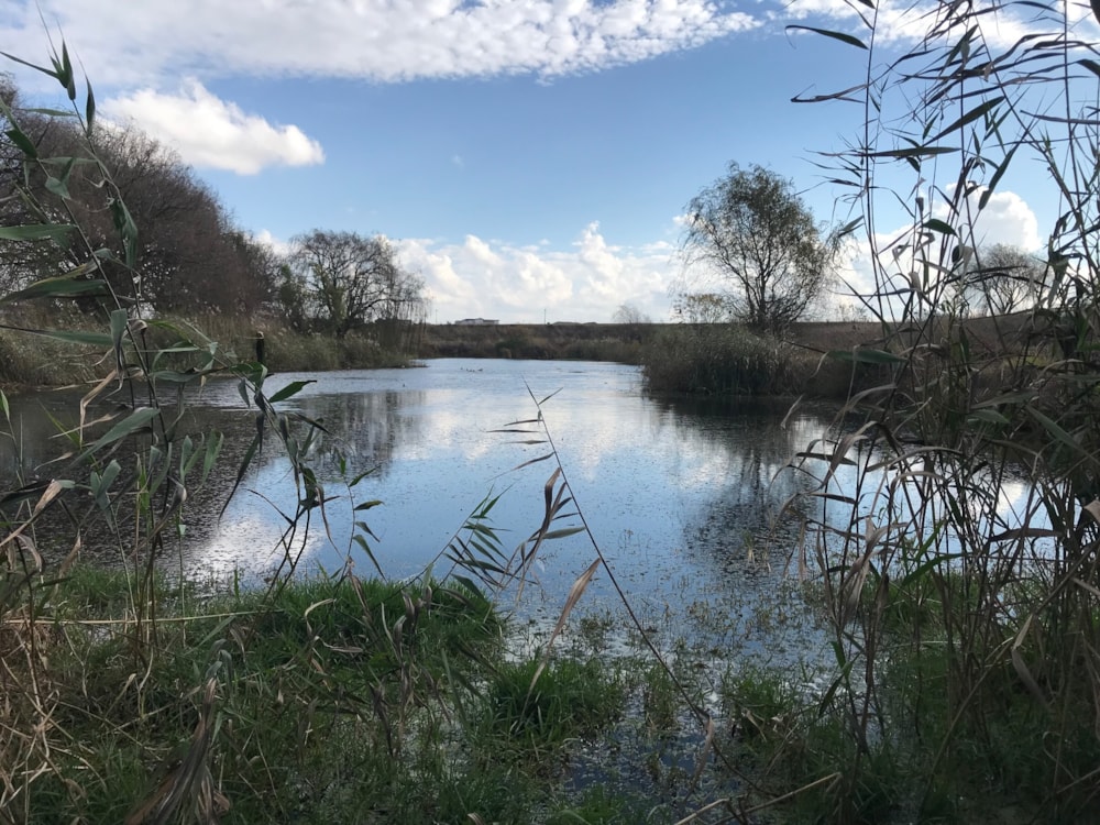 Vacant land for sale in Summer Place Estate - PRN1616082