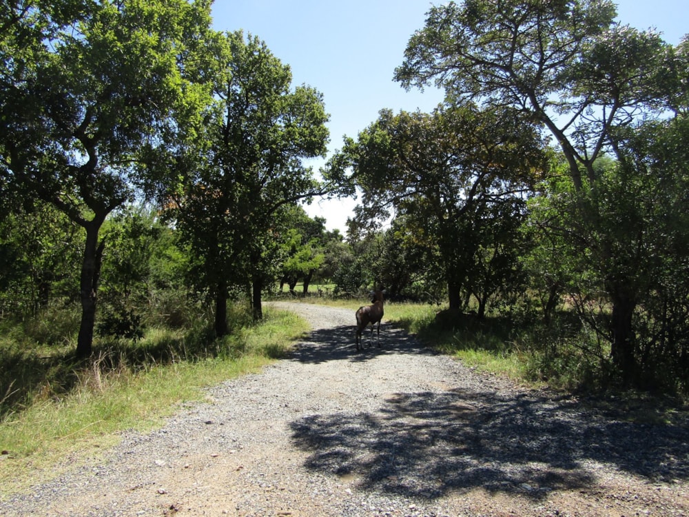 Vacant land for sale in Seasons Eco Golf Estate - 1HR1616395