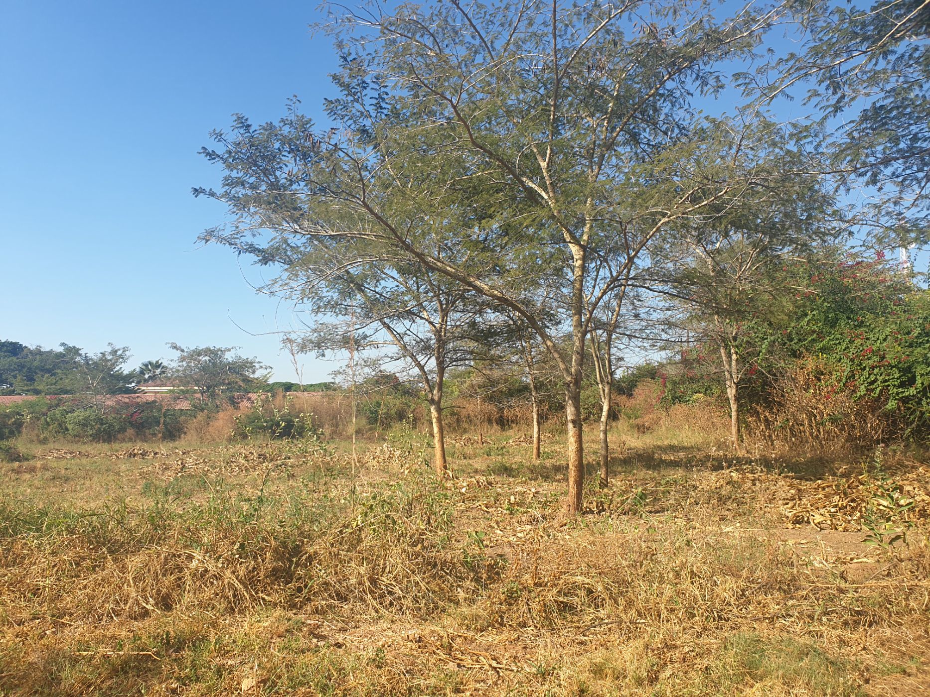 Commercial vacant land for sale in Water Falls, Zambia - 3ZA1618234
