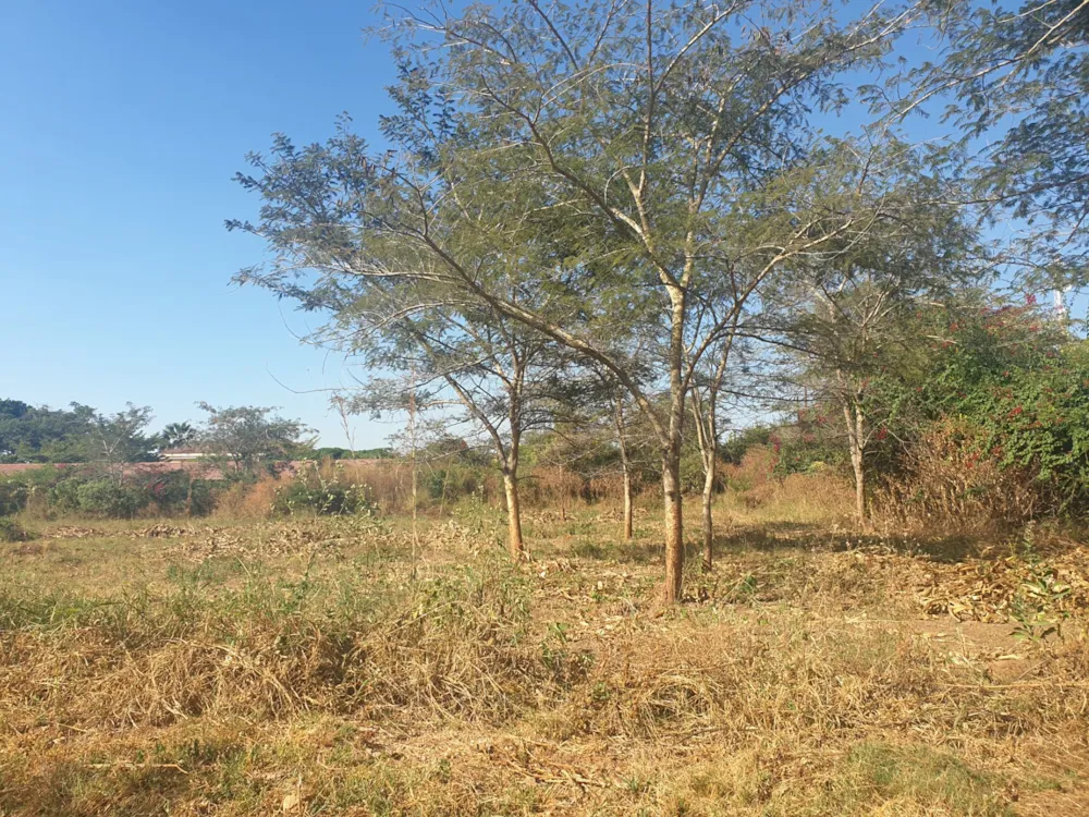 Commercial vacant land for sale in Water Falls, Zambia - 3ZA1618234