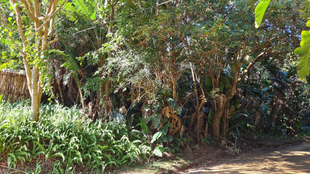 Residential vacant land for sale in Leisure Bay - 1PD1616444 Residential vacant land for sale in Leisure Bay - 1PD1616444