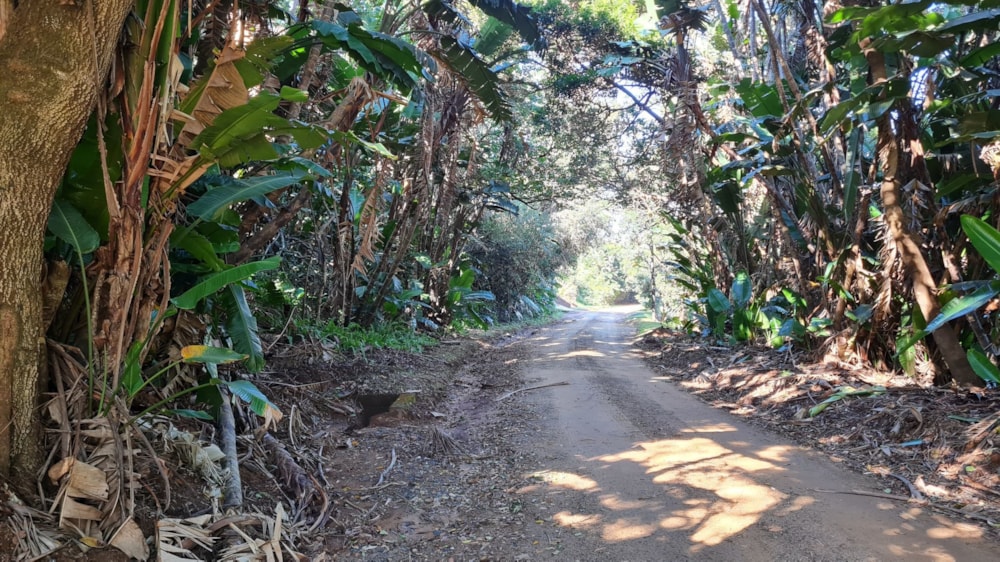 Residential vacant land for sale in Leisure Bay - 1PD1616444 Residential vacant land for sale in Leisure Bay - 1PD1616444