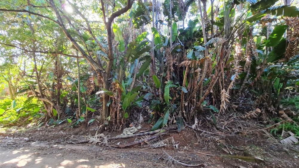 Residential vacant land for sale in Leisure Bay - 1PD1616444 Residential vacant land for sale in Leisure Bay - 1PD1616444