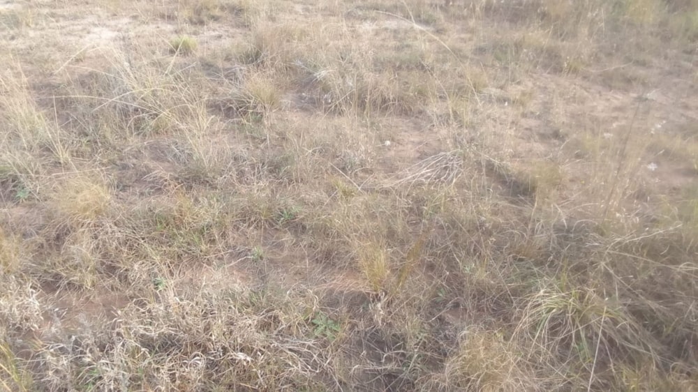 Vacant land for sale in Southridge Park - 1MH1616896 Vacant land for sale in Southridge Park - 1MH1616896