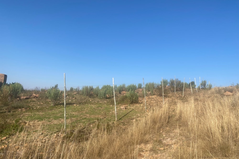 Vacant land for sale in Hoeveld Park - 1WD1617209