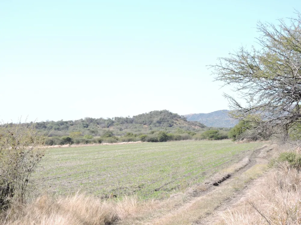 Farm vacant land for sale in Rustenburg Rural - 1RU1617462 Farm vacant land for sale in Rustenburg Rural - 1RU1617462