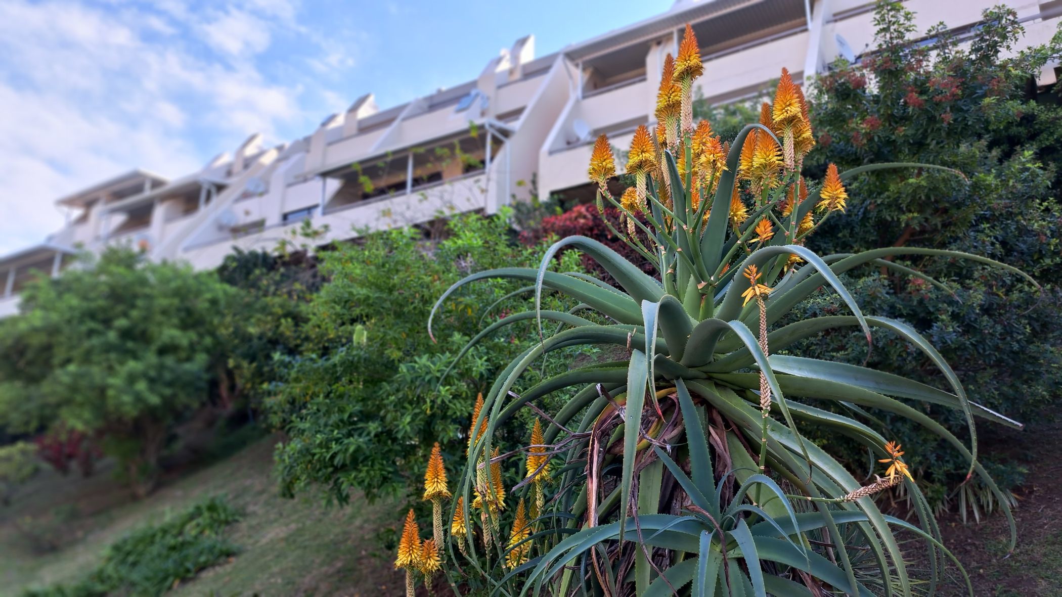 Apartment for sale in Manaba - 1PX1630081