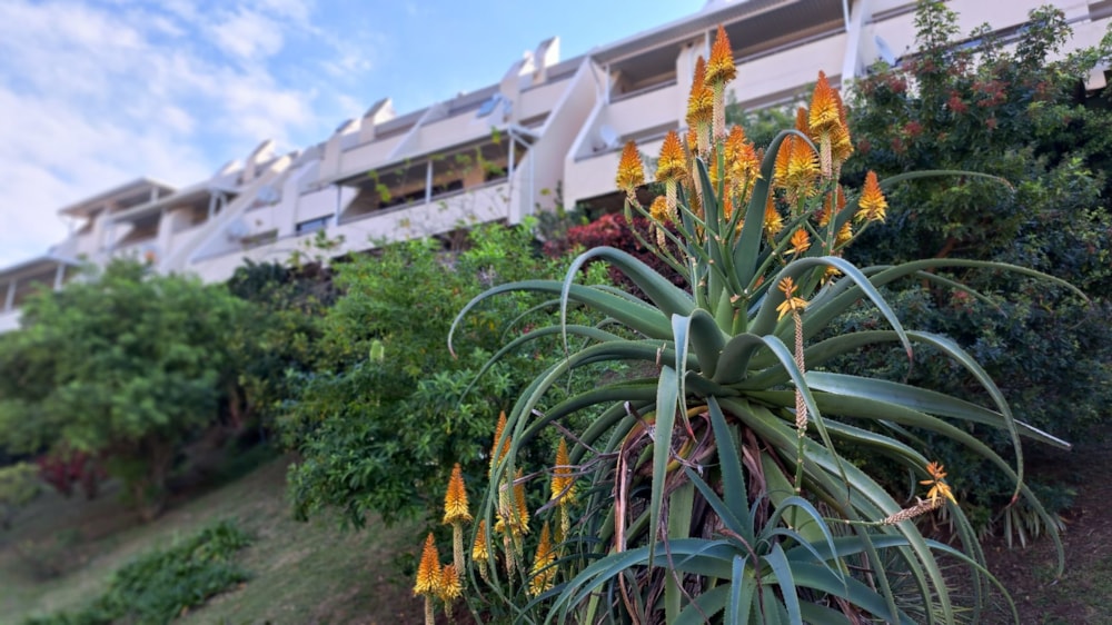 Apartment for sale in Manaba - 1PX1630081