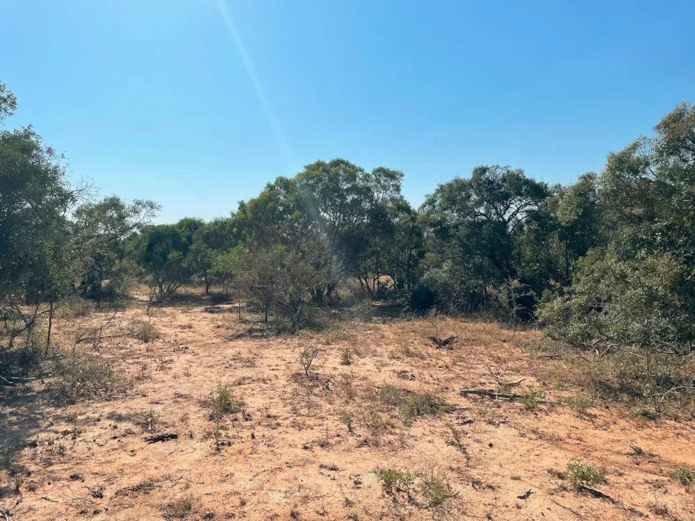 Vacant land for sale in Moditlo Nature Reserve - 1HS1639365
