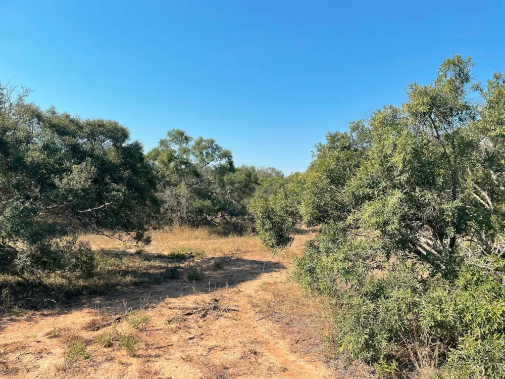 Vacant land for sale in Moditlo Nature Reserve - 1HS1639365
