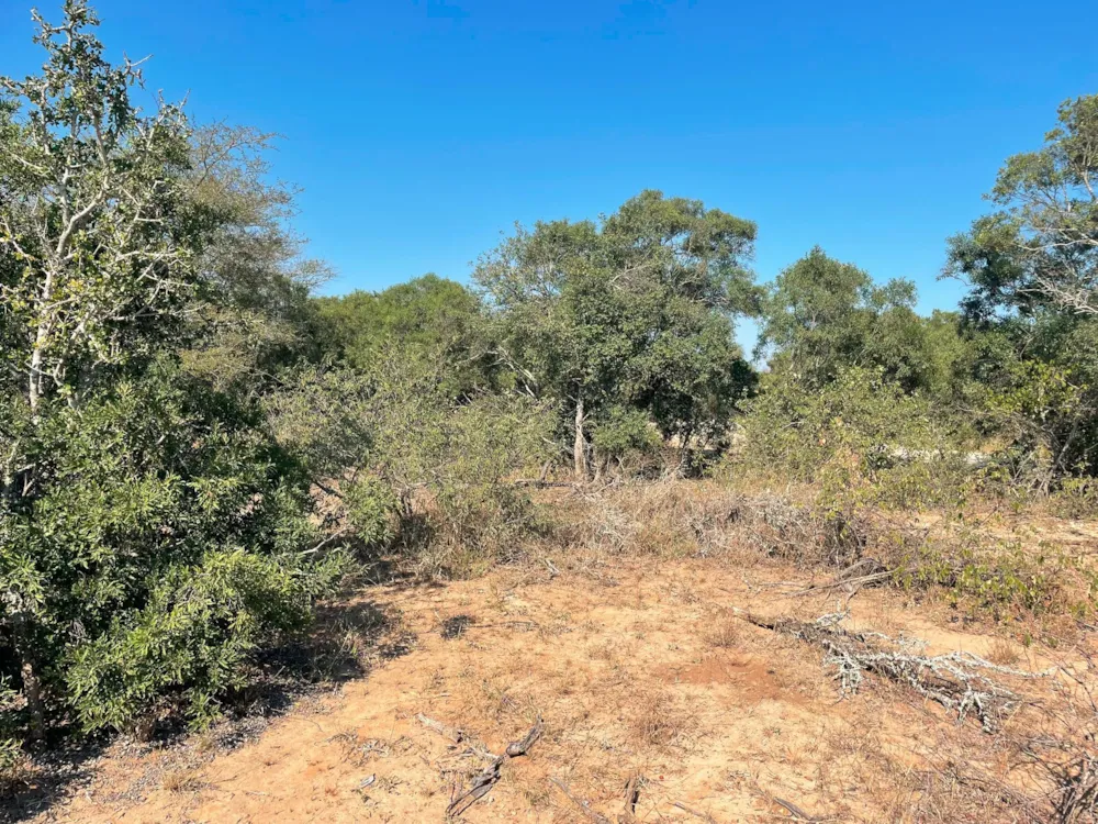 Vacant land for sale in Moditlo Nature Reserve - 1HS1639365