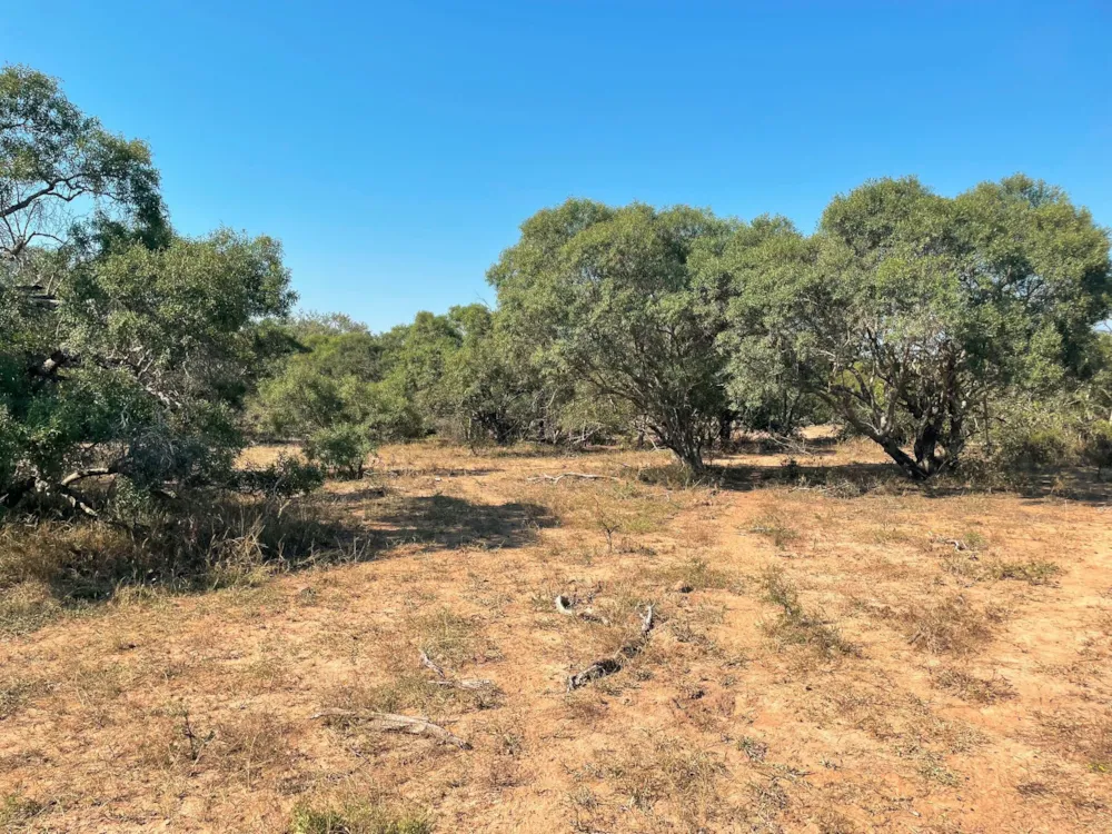 Vacant land for sale in Moditlo Nature Reserve - 1HS1639365