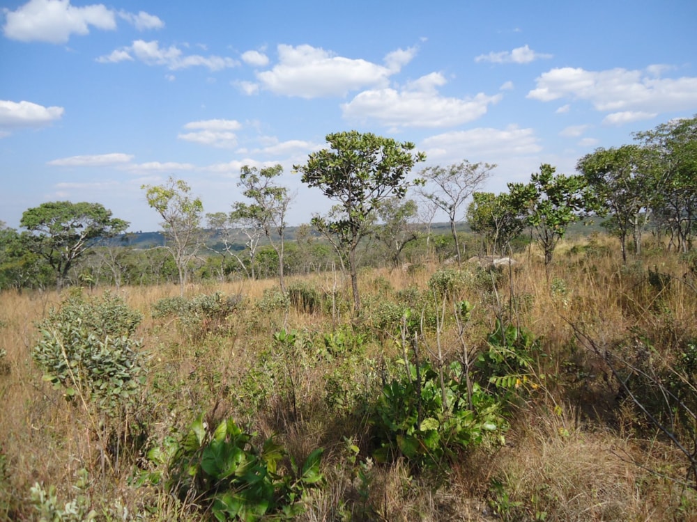 Farm vacant land for sale in Ruwa, Zimbabwe - 3ZB1618728