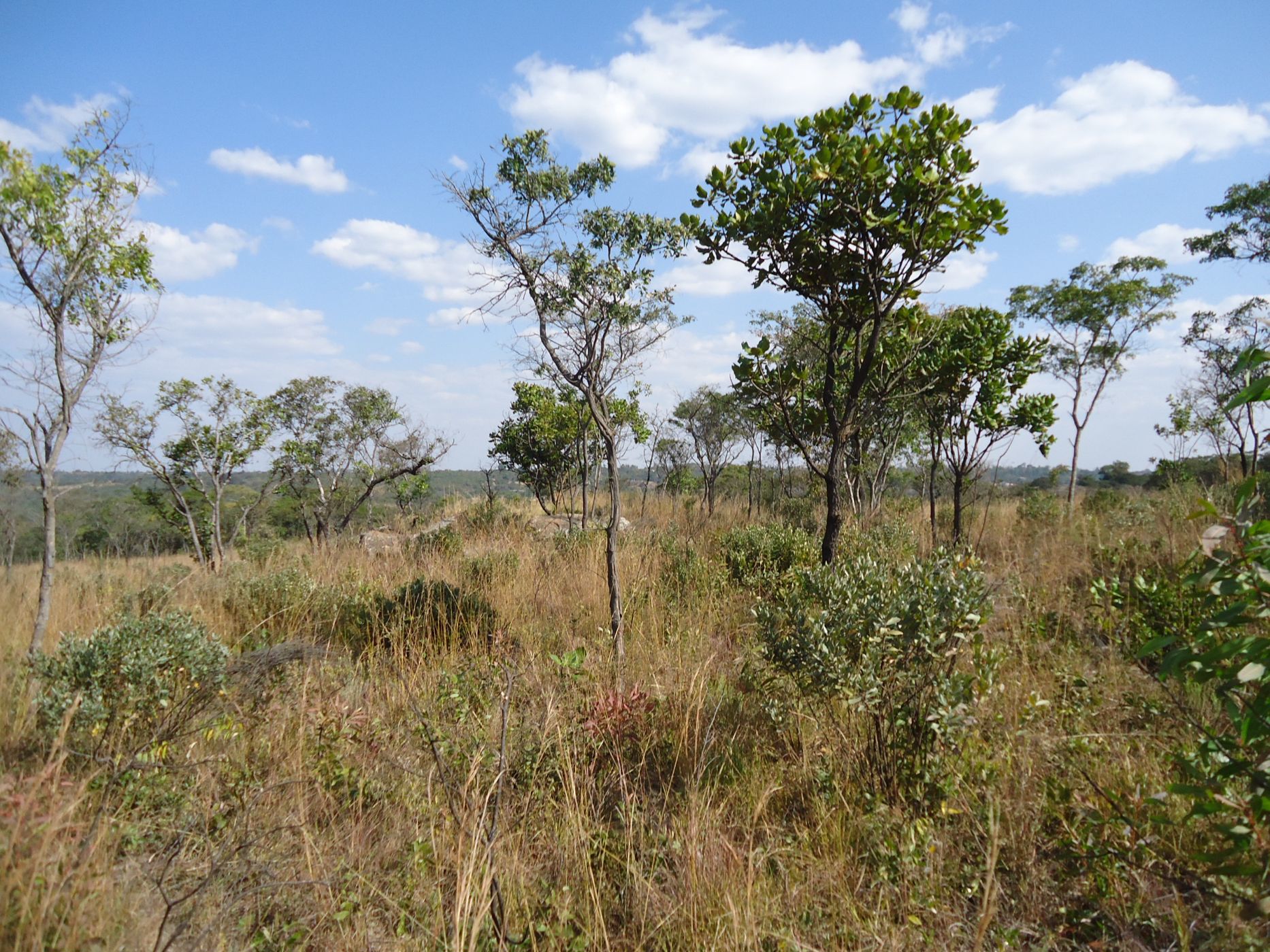 Farm vacant land for sale in Ruwa, Zimbabwe - 3ZB1618728