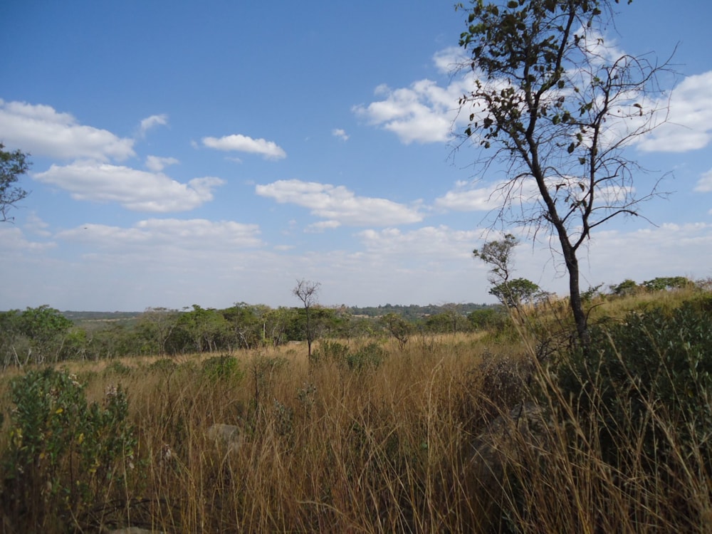 Farm vacant land for sale in Ruwa, Zimbabwe - 3ZB1618728