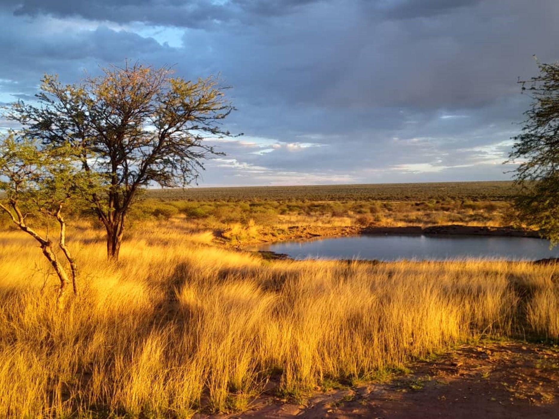 Game farm for sale in Gobabis, Omaheke, Namibia - 3NM1619013