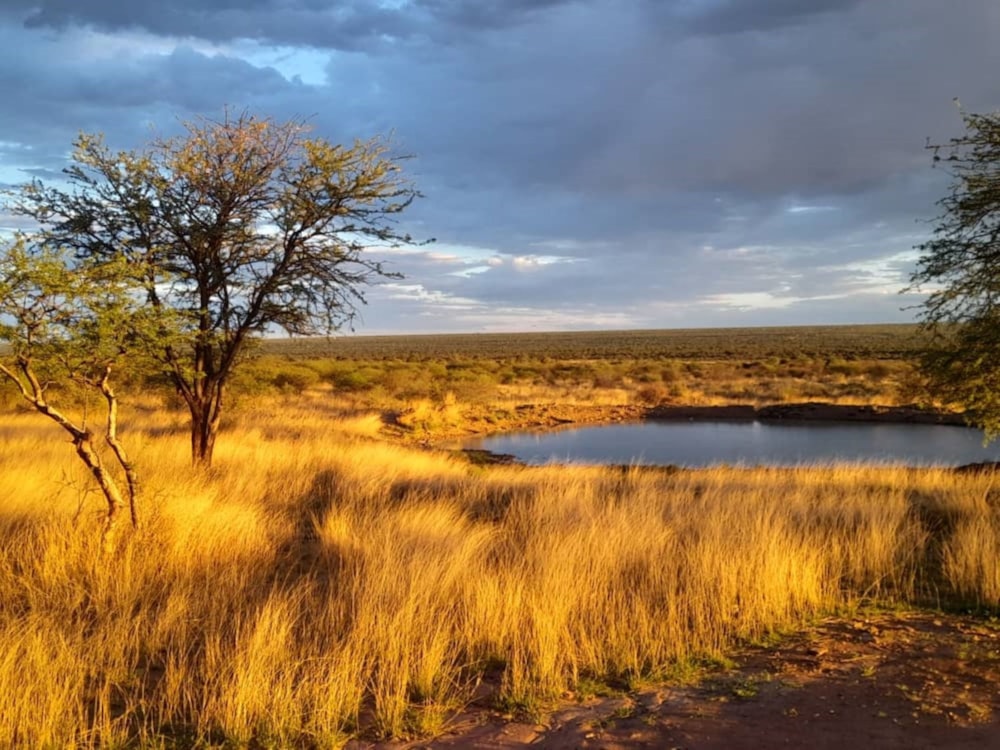 Game farm for sale in Gobabis, Omaheke, Namibia - 3NM1619013 Game farm for sale in Gobabis, Omaheke, Namibia - 3NM1619013