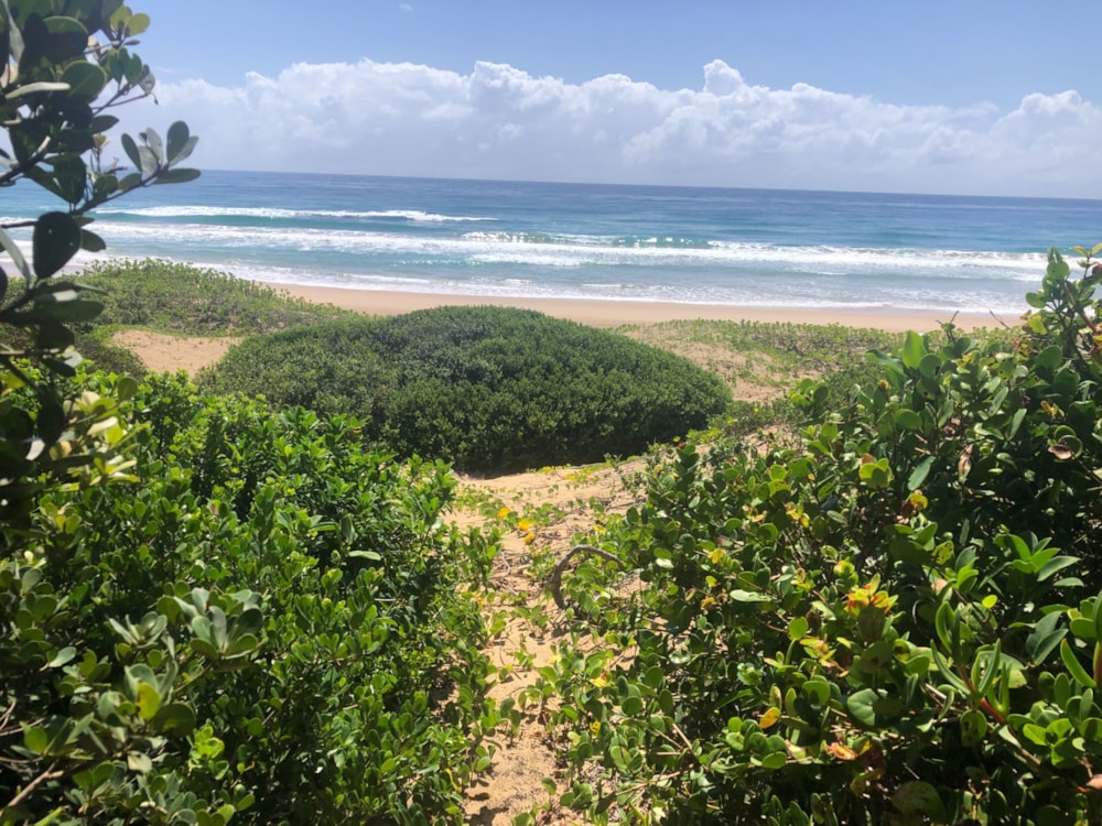 Vacant land for investment in Ponta de Ouro, Mozambique - 3MQ1619117 Vacant land for investment in Ponta de Ouro, Mozambique - 3MQ1619117