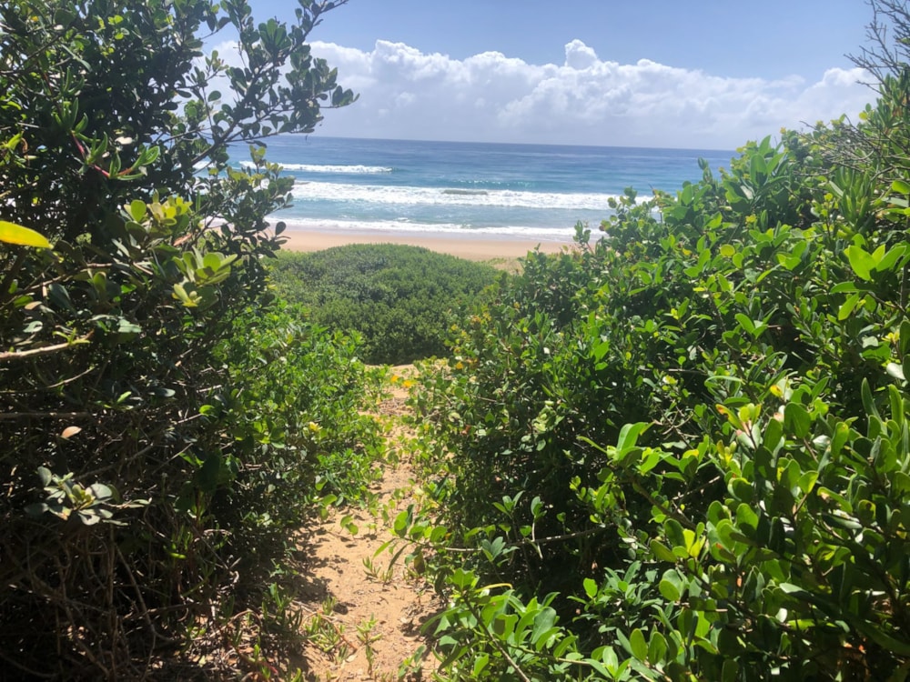 Vacant land for investment in Ponta de Ouro, Mozambique - 3MQ1619117 Vacant land for investment in Ponta de Ouro, Mozambique - 3MQ1619117