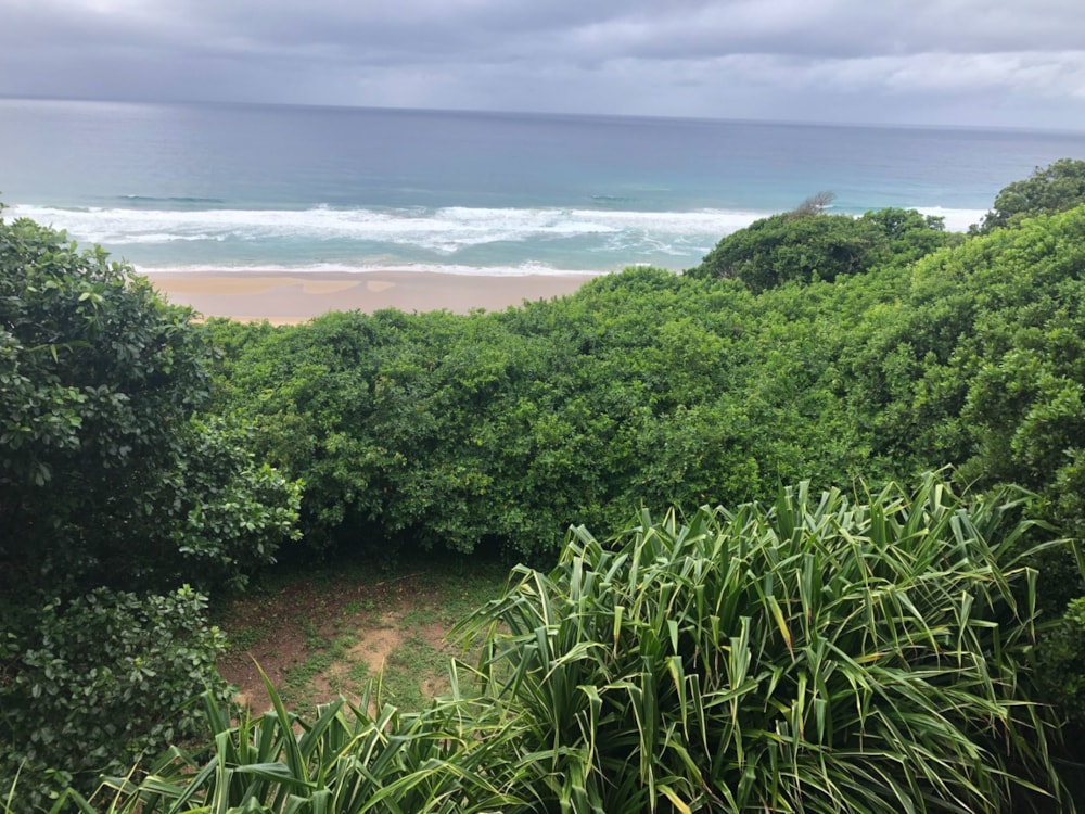 Vacant land for investment in Ponta de Ouro, Mozambique - 3MQ1619117 Vacant land for investment in Ponta de Ouro, Mozambique - 3MQ1619117