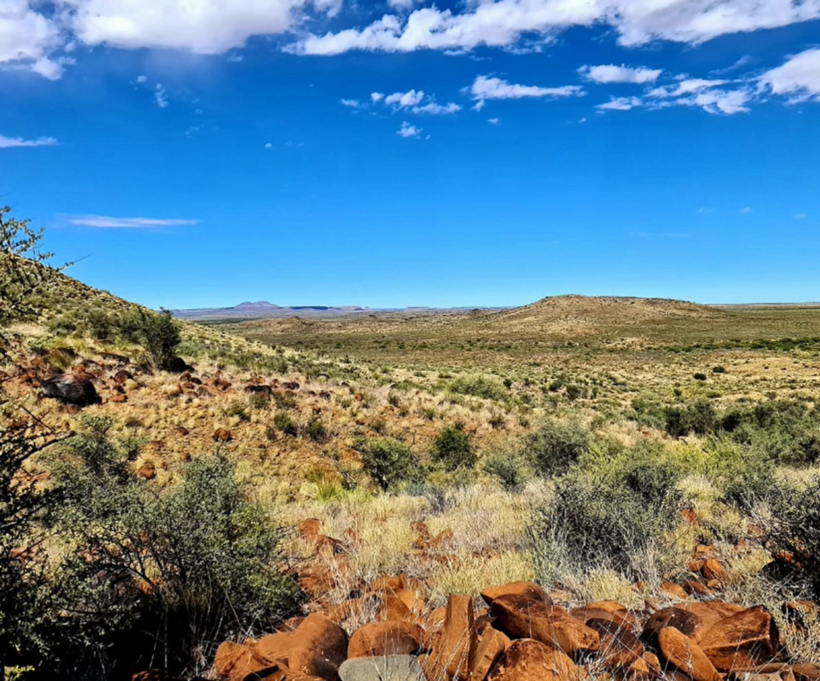 Livestock farm for sale in Carnarvon - 1KK1619162