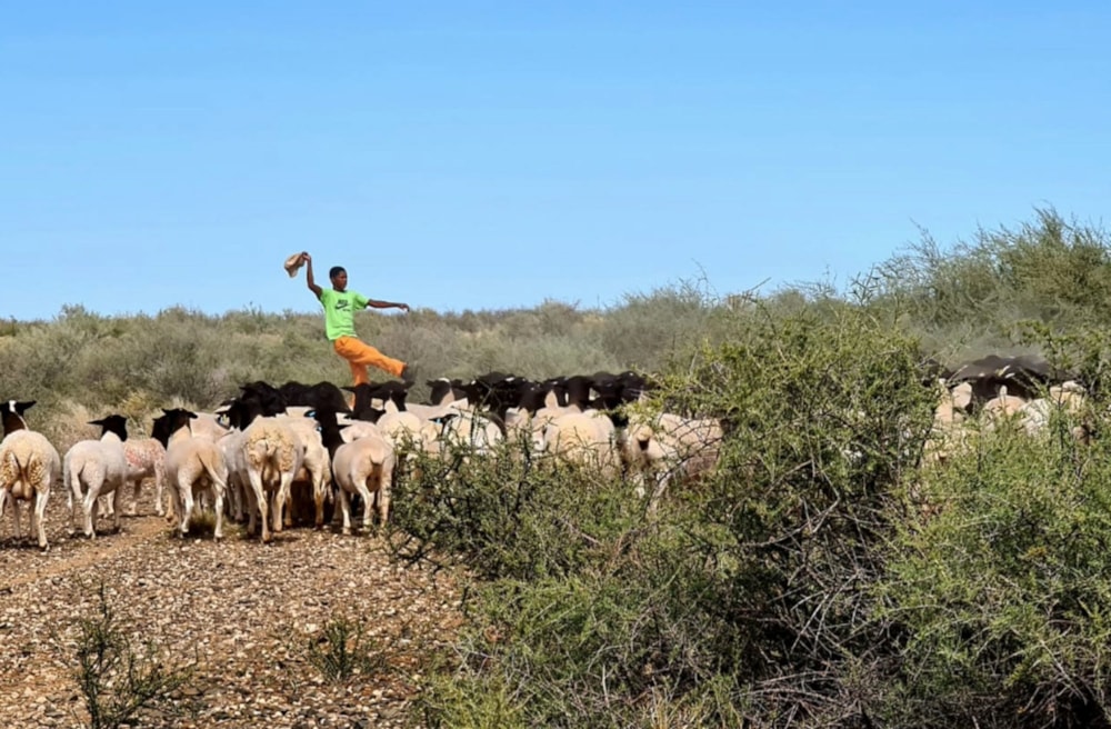 Livestock farm for sale in Carnarvon - 1KK1619162