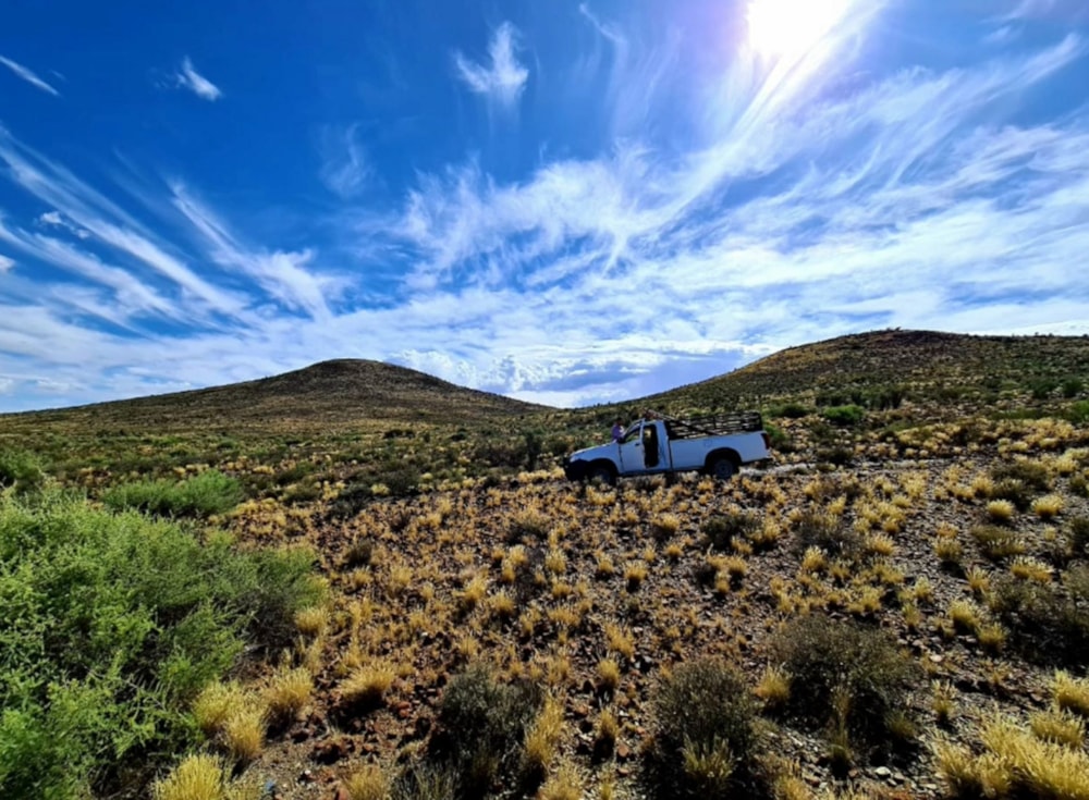 Livestock farm for sale in Carnarvon - 1KK1619162