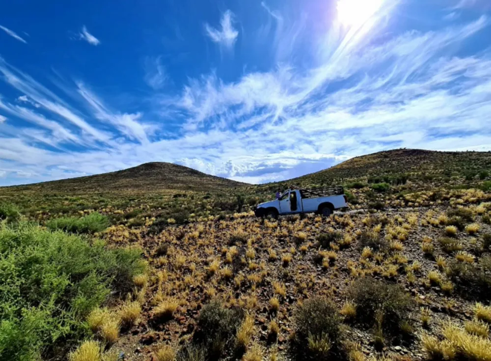 Livestock farm for sale in Carnarvon - 1KK1619162 Livestock farm for sale in Carnarvon - 1KK1619162