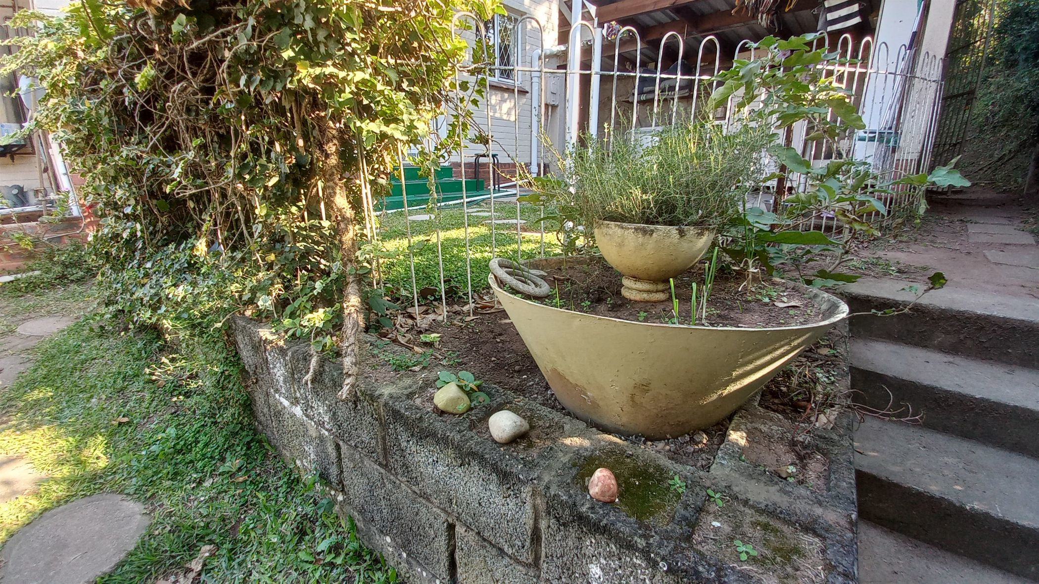 Cottage to rent in Beverley Hills, Westville - 1WP1747855