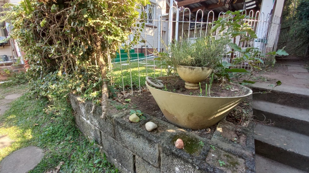 Cottage to rent in Beverley Hills, Westville - 1WP1747855