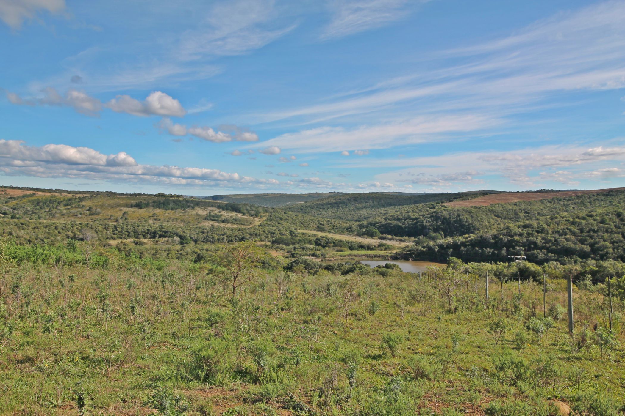 Lifestyle property for sale in Bathurst - 1PF1620220