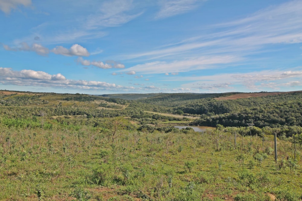 Lifestyle property for sale in Bathurst - 1PF1620220