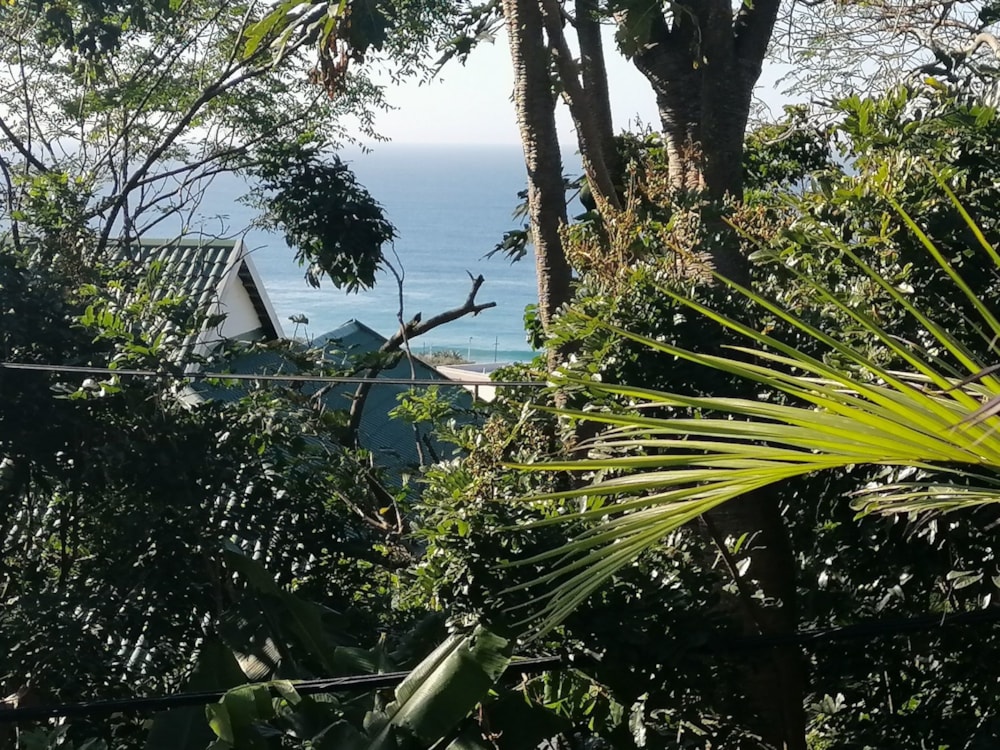 Apartment sold in Westbrook, Ballito - 1BD1672498 Apartment sold in Westbrook, Ballito - 1BD1672498