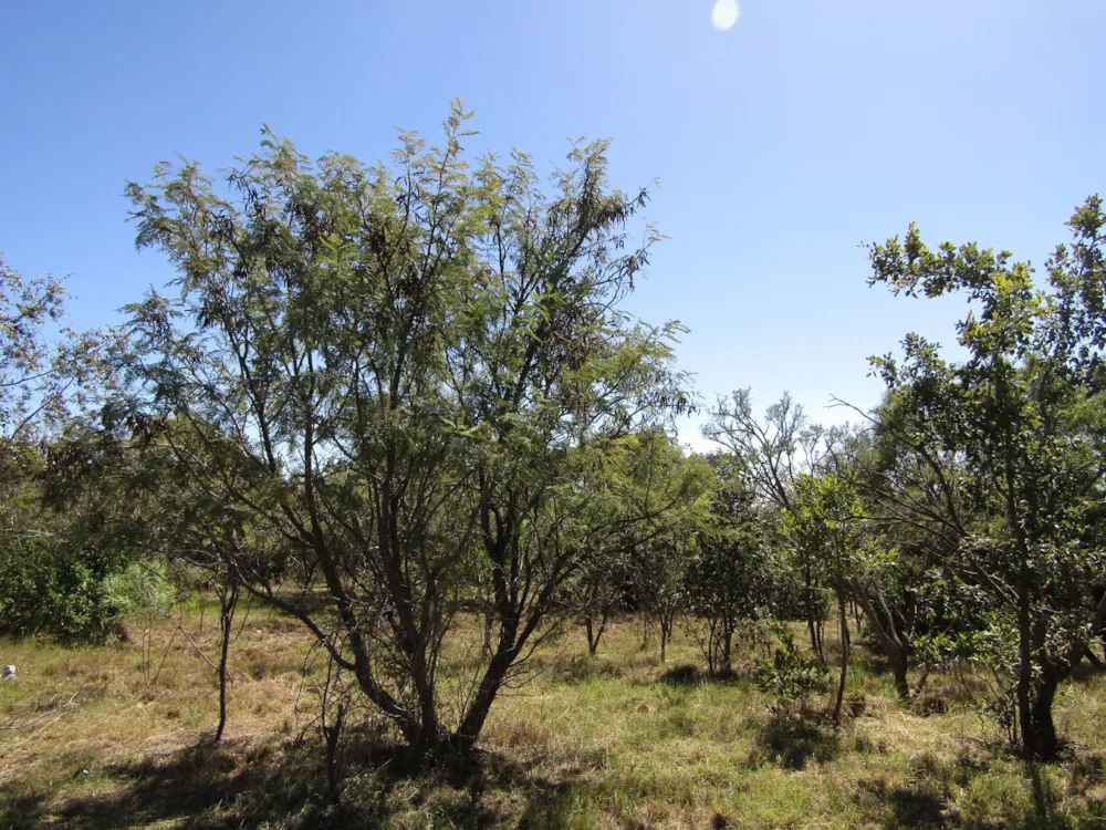 Vacant land sold in Seasons Eco Golf Estate - 1HR1702383 Vacant land sold in Seasons Eco Golf Estate - 1HR1702383