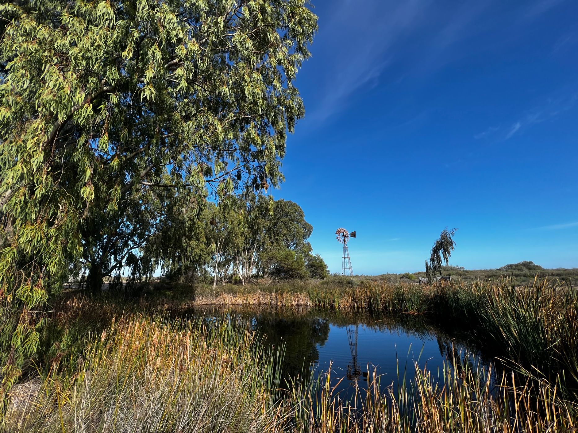 Mixed use farm for sale in Dwarskersbos - LA1617262