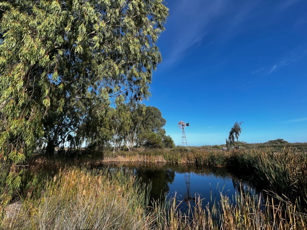 Mixed use farm for sale in Dwarskersbos - LA1617262