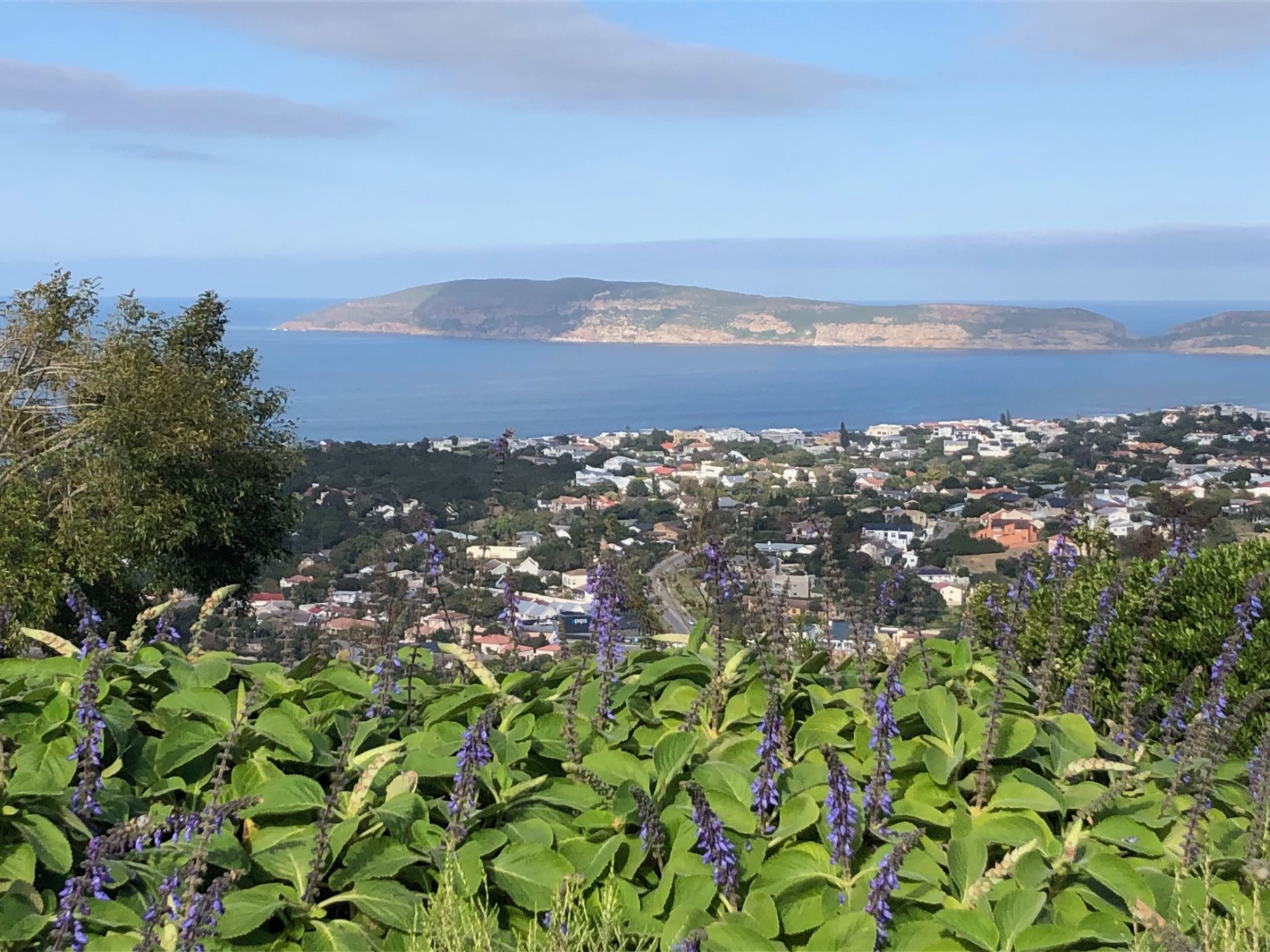 Residential vacant land for sale in Cutty Sark - 1KG1564100