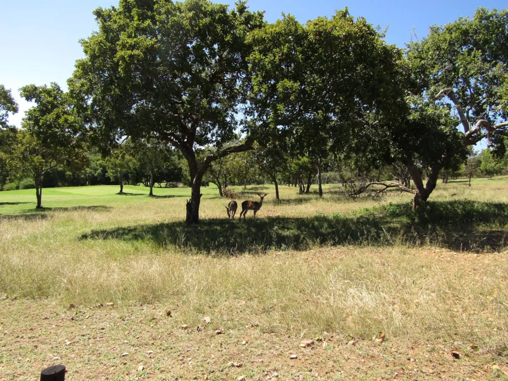 Residential vacant land sold in Seasons Eco Golf Estate - 1HR1620030 Residential vacant land sold in Seasons Eco Golf Estate - 1HR1620030