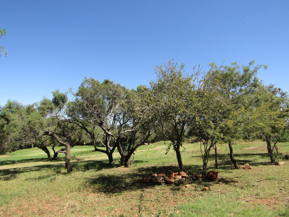 Vacant land for sale in Seasons Eco Golf Estate - 1HR1621403