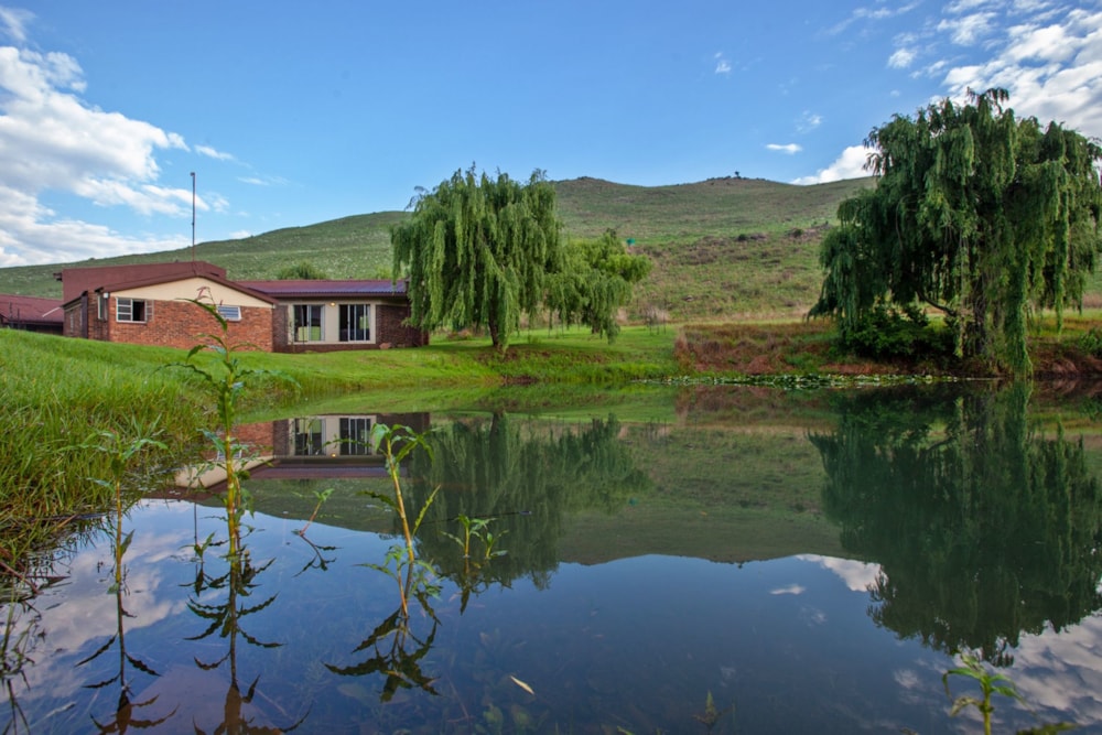 Aquaculture farm sold in Machadodorp, Mpumalanga - 1LY1606217 Aquaculture farm sold in Machadodorp, Mpumalanga - 1LY1606217