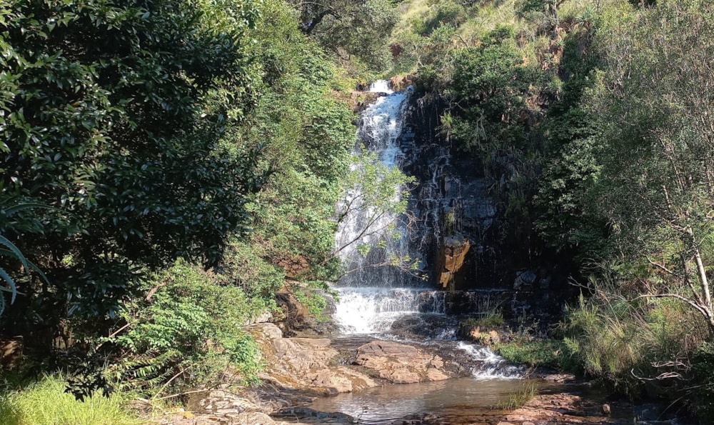 Aquaculture farm sold in Machadodorp, Mpumalanga - 1LY1606217 Aquaculture farm sold in Machadodorp, Mpumalanga - 1LY1606217