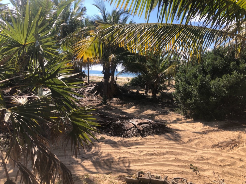Beach bungalow for sale in Praia da Barra, Mozambique - 3MQ1617297 Beach bungalow for sale in Praia da Barra, Mozambique - 3MQ1617297