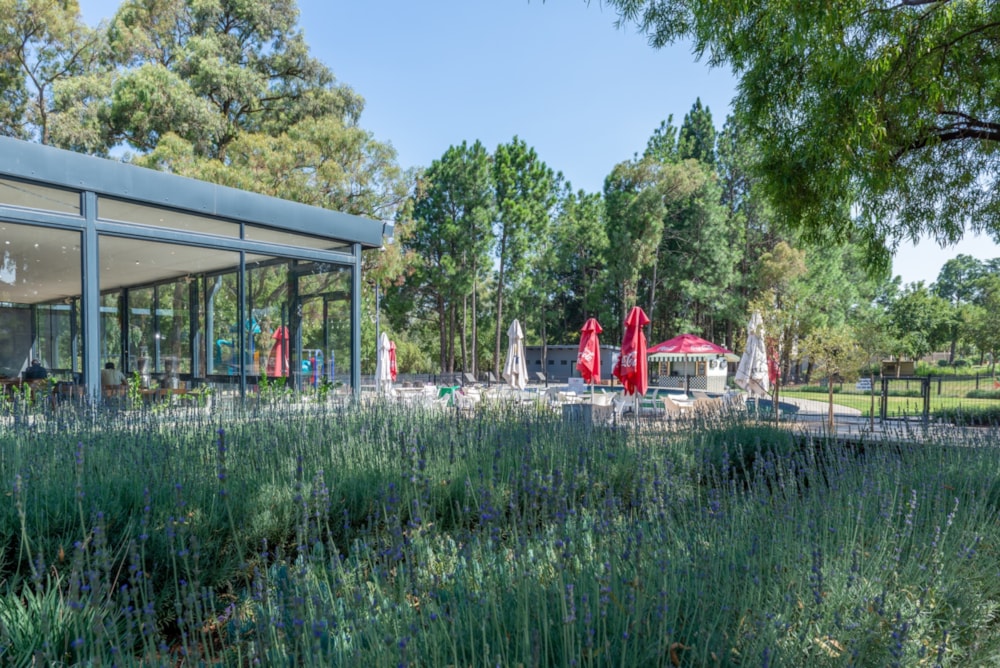 Residential vacant land for sale in Eye of Africa - 1GV1699272