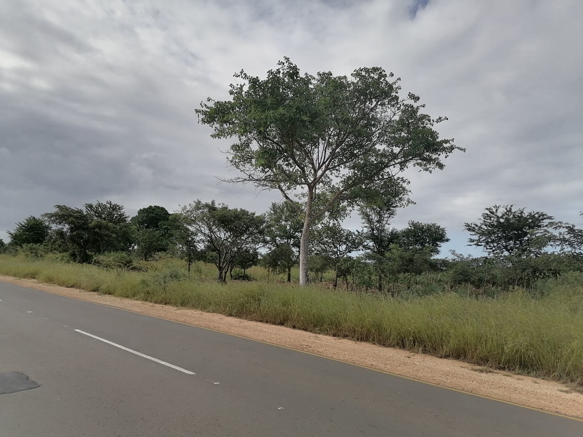 Vacant land for investment in Inhassoro, Mozambique - 3MQ1620281