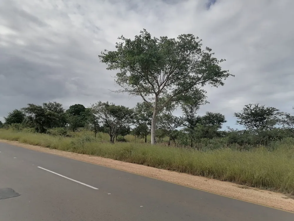 Vacant land for investment in Inhassoro, Mozambique - 3MQ1620281 Vacant land for investment in Inhassoro, Mozambique - 3MQ1620281
