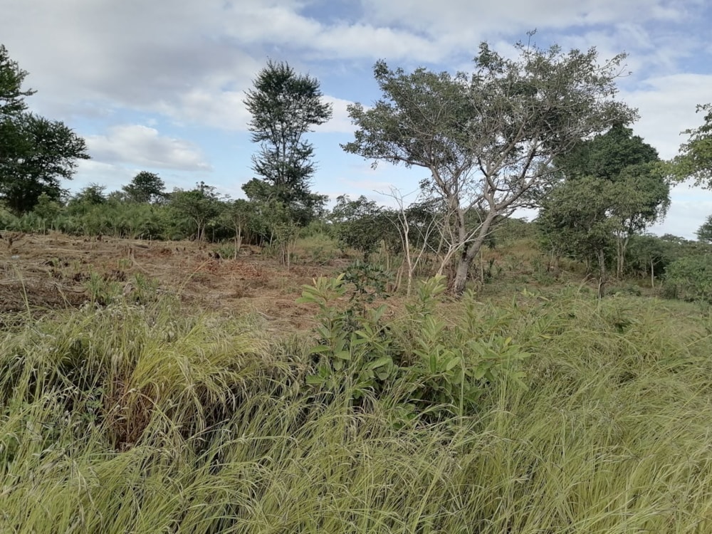 Vacant land for investment in Inhassoro, Mozambique - 3MQ1620281 Vacant land for investment in Inhassoro, Mozambique - 3MQ1620281