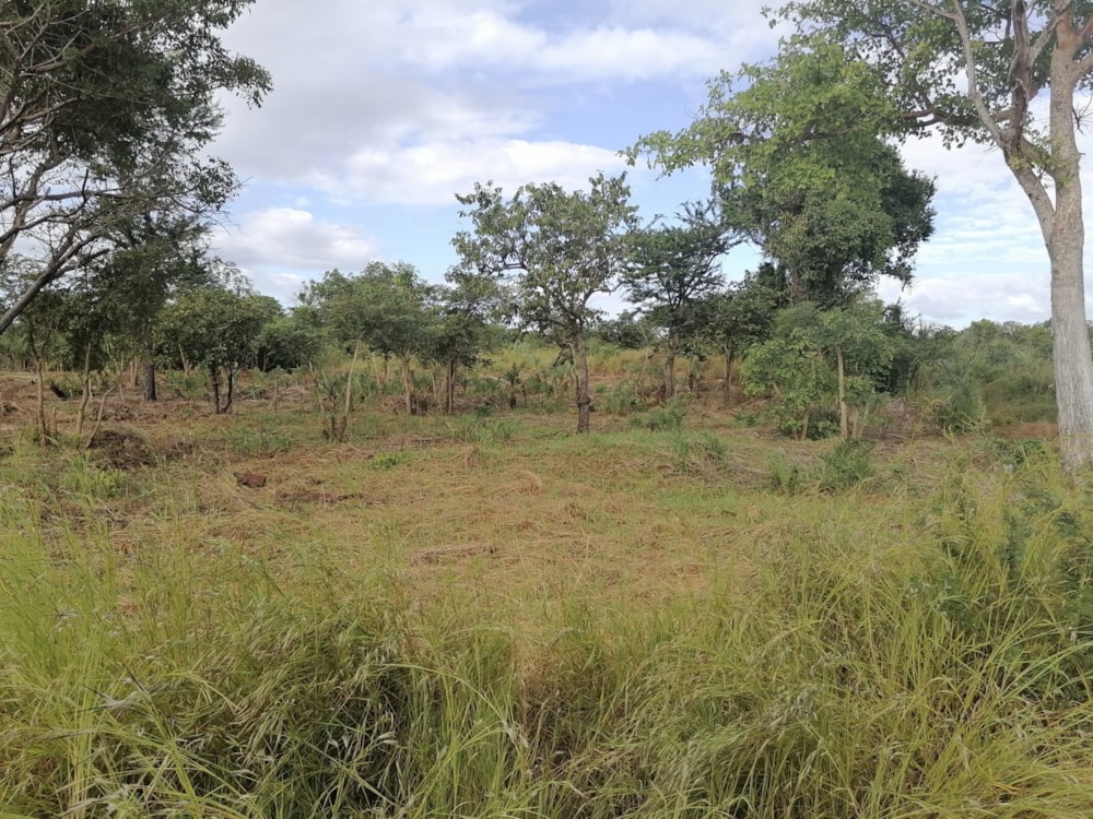 Vacant land for investment in Inhassoro, Mozambique - 3MQ1620281 Vacant land for investment in Inhassoro, Mozambique - 3MQ1620281