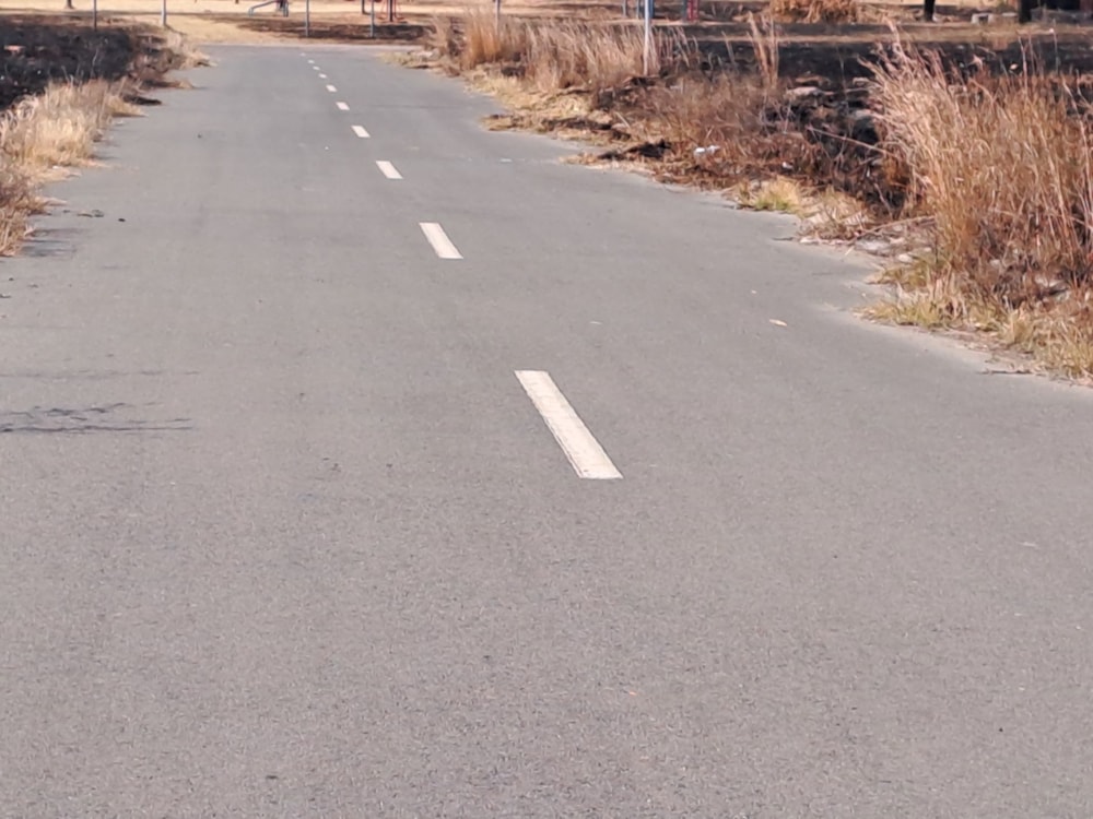 Residential vacant land for sale in StruisBult - 1SP1620503 Residential vacant land for sale in StruisBult - 1SP1620503