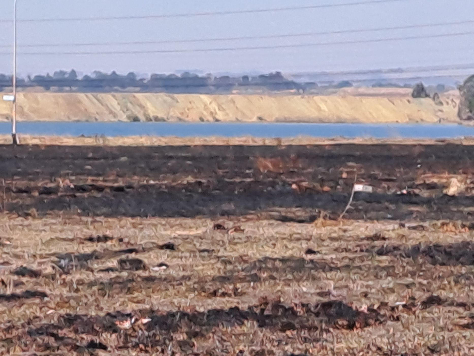 Residential vacant land for sale in StruisBult - 1SP1620503