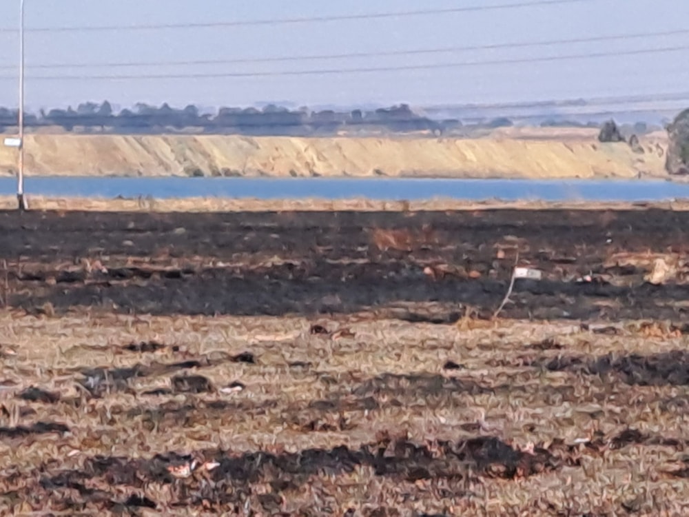 Residential vacant land for sale in StruisBult - 1SP1620503 Residential vacant land for sale in StruisBult - 1SP1620503